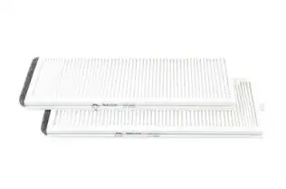 Polen Filtresi  BSG 40-145-001
