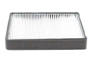 Polen Filtresi  BSG 40-145-007
