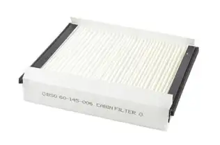 Polen Filtresi  BSG 60-145-006