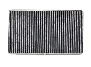 Polen Filtresi  BSG 60-145-016