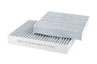 Polen Filtresi  BSG 70-145-007