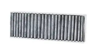 Polen Filtresi  BSG 70-145-018