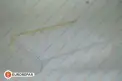 Polen Filtresi  PSA ORJINAL 1640605380