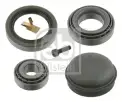 FEBI BILSTEIN 08841 Porya Rulmanı Ön