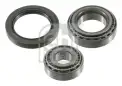 FEBI BILSTEIN 27311 Porya Rulmanı Ön