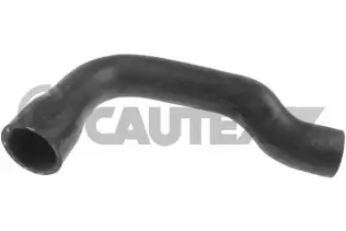 Radyatör Hortumu CAUTEX 765442