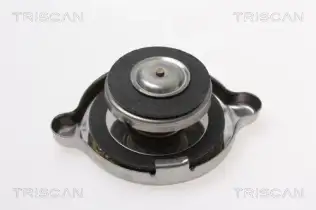 Radyatör Kapağı  BSG 25-551-007