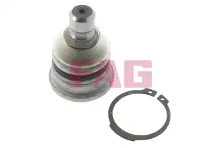 FAG 825033810 Rotil Alt