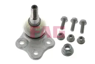 FAG 825029810 Rotil Alt