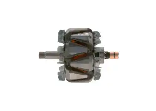 Rotor