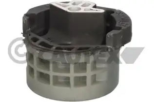 Şanzıman Takozu Arka RIW BW12129