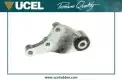 Şanzıman Takozu Arka UCEL 31632