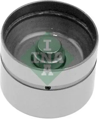 INA 420004910 Supap Itıcı - 1. Görsel