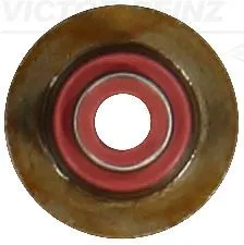 Supap Lastiği  REINZ 70-17609-00