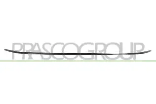 Süs /Koruma Çıtası, Tampon PRASCO FT4501235