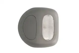 Tavan Lambası  BSG 75-819-002