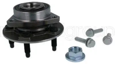 Tekerlek Yatağı Seti METELLI 19-8173 - 1. Görsel