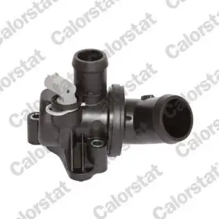 Termostat 80 °C  CALORSTAT TH6991.80J