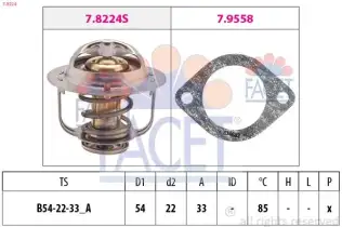 Termostat 85 °C  CALORSTAT TH6252.85