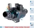 Termostat  FAE 5350901