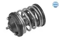 Termostat  CALORSTAT TH7287.87
