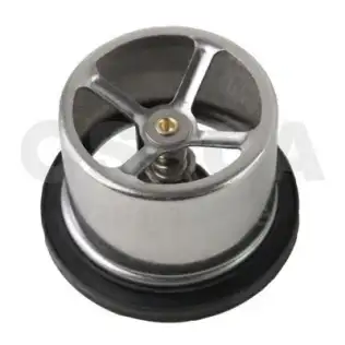 Termostat  VOLKSWAGEN ORJINAL 94810612501