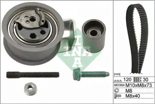 INA 530009110 Triger Seti