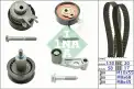 INA 530008910 Triger Seti