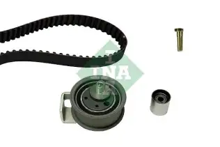 INA 530006910 Triger Seti