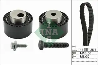 INA 530011110 Triger Seti