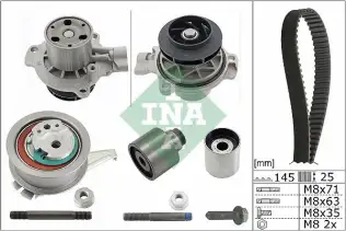INA 530069931 Triger Seti