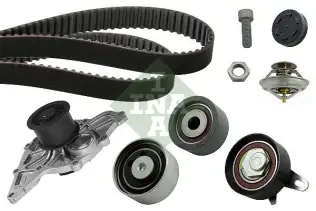 INA 530041631 Triger Seti