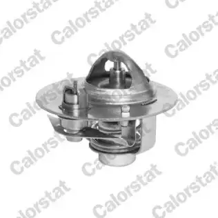 Termostat  MAGNETI MARELLI 359001202660