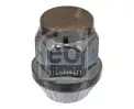 Bijon Somunu  SWAPP 34857
