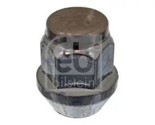Bijon Somunu  SWAPP 34857