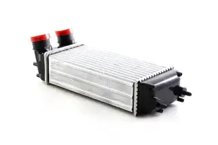 Turbo Radyatörü  BSG 30-535-012