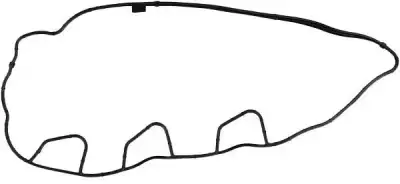 Üst Kapak Contası (Külbütör)  ROYAL H2 737040 - 1. Görsel