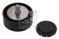 FEBI BILSTEIN 100154 V Kayış Gergi Rulmanı