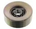 FEBI BILSTEIN 49793 V Kayış Gergi Rulmanı