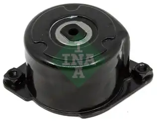 INA 534017010 V Kayış Gergi Rulmanı