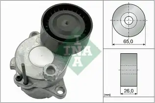 INA 534059210 V Kayış Gergisi Komple