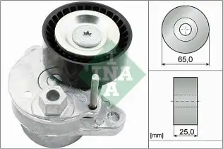 INA 534054010 V Kayış Gergisi Komple