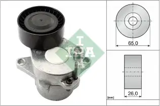 INA 534061110 V Kayış Gergisi Komple