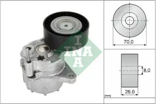 INA 534048110 V Kayış Gergisi Komple