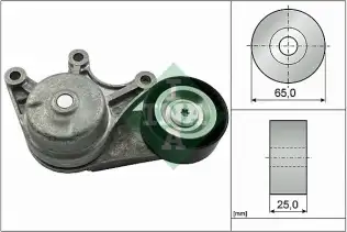 INA 534053510 V Kayış Gergisi Komple