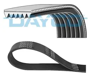 DAYCO 6PK2195 V Kayışı