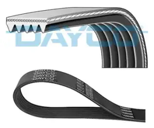 DAYCO 5PK1175 V Kayışı