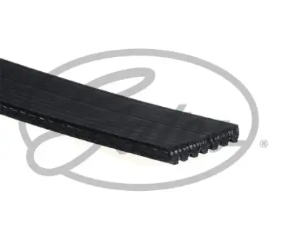 GATES 7PK2660 V Kayışı - 2. Görsel