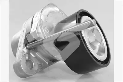 Vantilatör Kayış Gergi Rulmanı  RENAULT ORJINAL 8200933753 - 1. Görsel