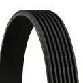 Vantilatör Kayışı  CONTINENTAL 7PK1179 ELAST